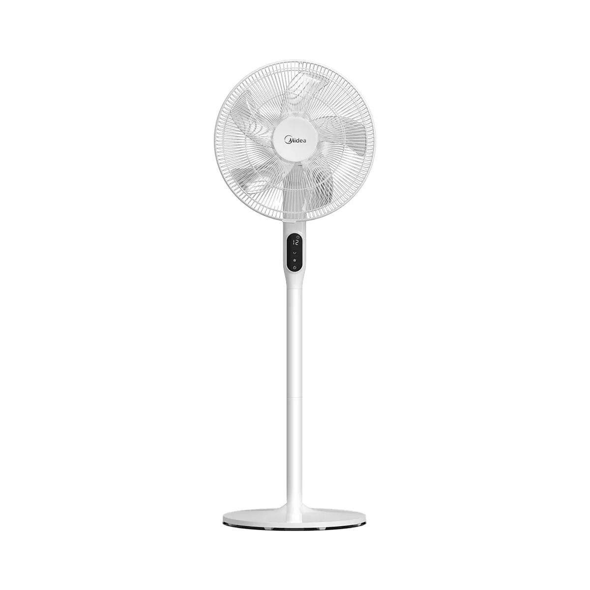 fans