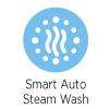 Smart Auto Steam Wash