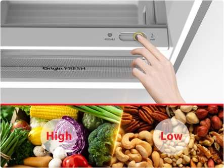 Buy Refrigerators | Toshiba Egypt