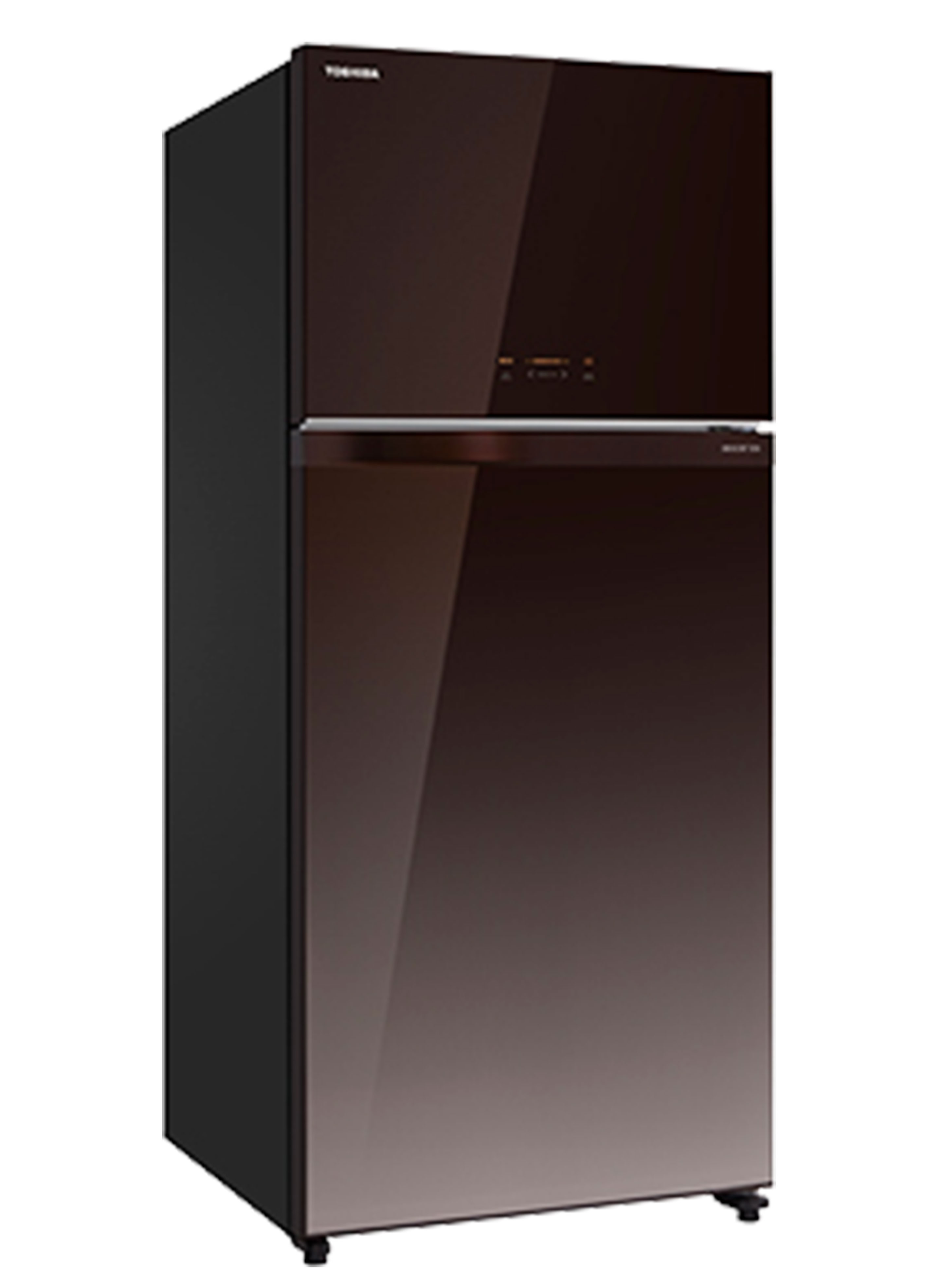 Glass Door Refrigerator 608L