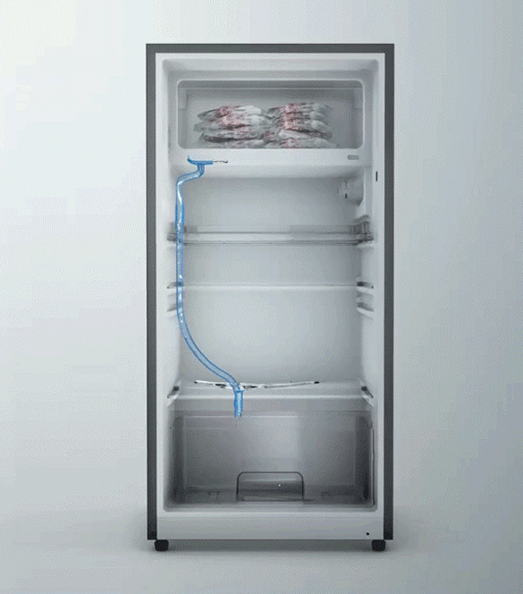 Defrosting System