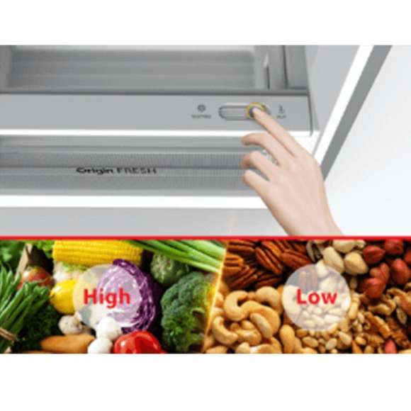 GR-RT559WE-PMY 490L 2 Doors Inverter Refrigerator