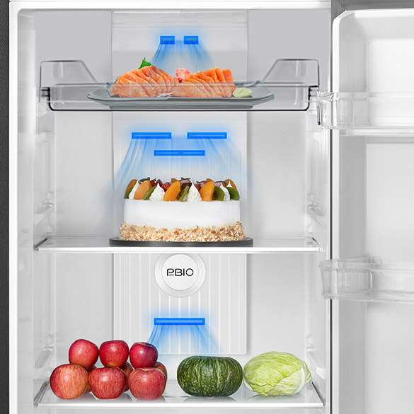 GR-RT412WE-PMY(58) | 360L 2 Doors Refrigerator