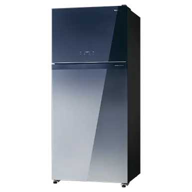 GR RT835WE PGY XK GG 661L 2 Doors Refrigerator