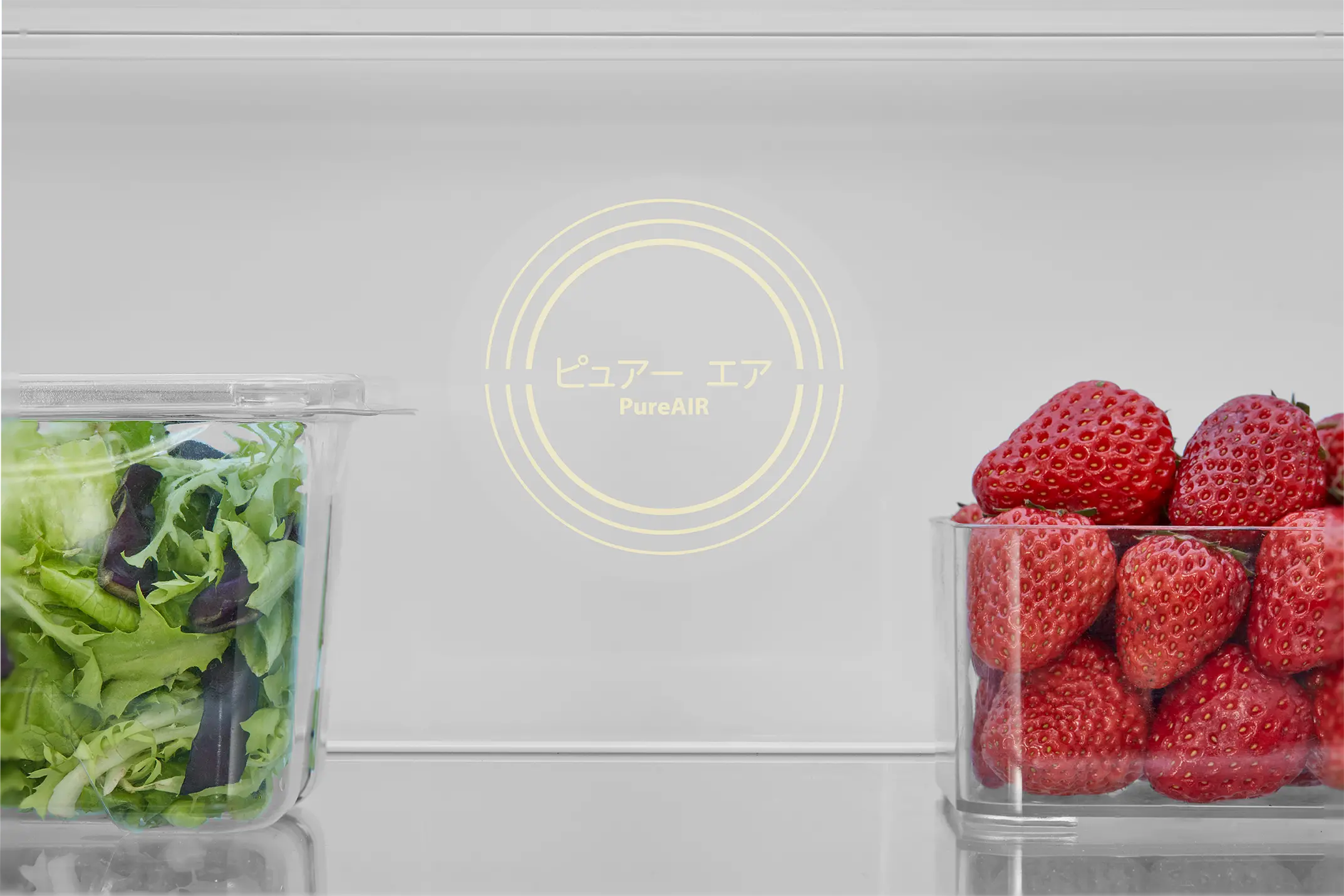 Japandi Multidoor Refrigerator