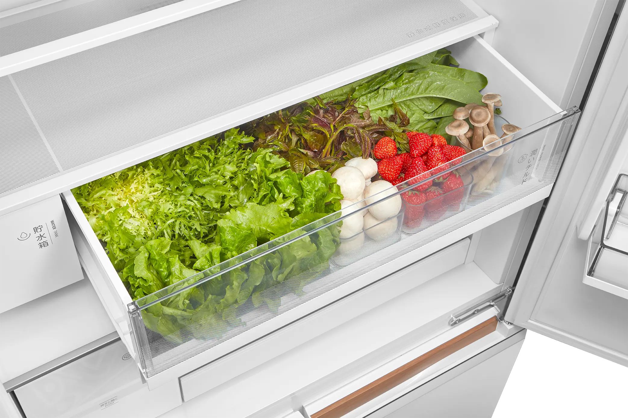 Japandi Multidoor Refrigerator