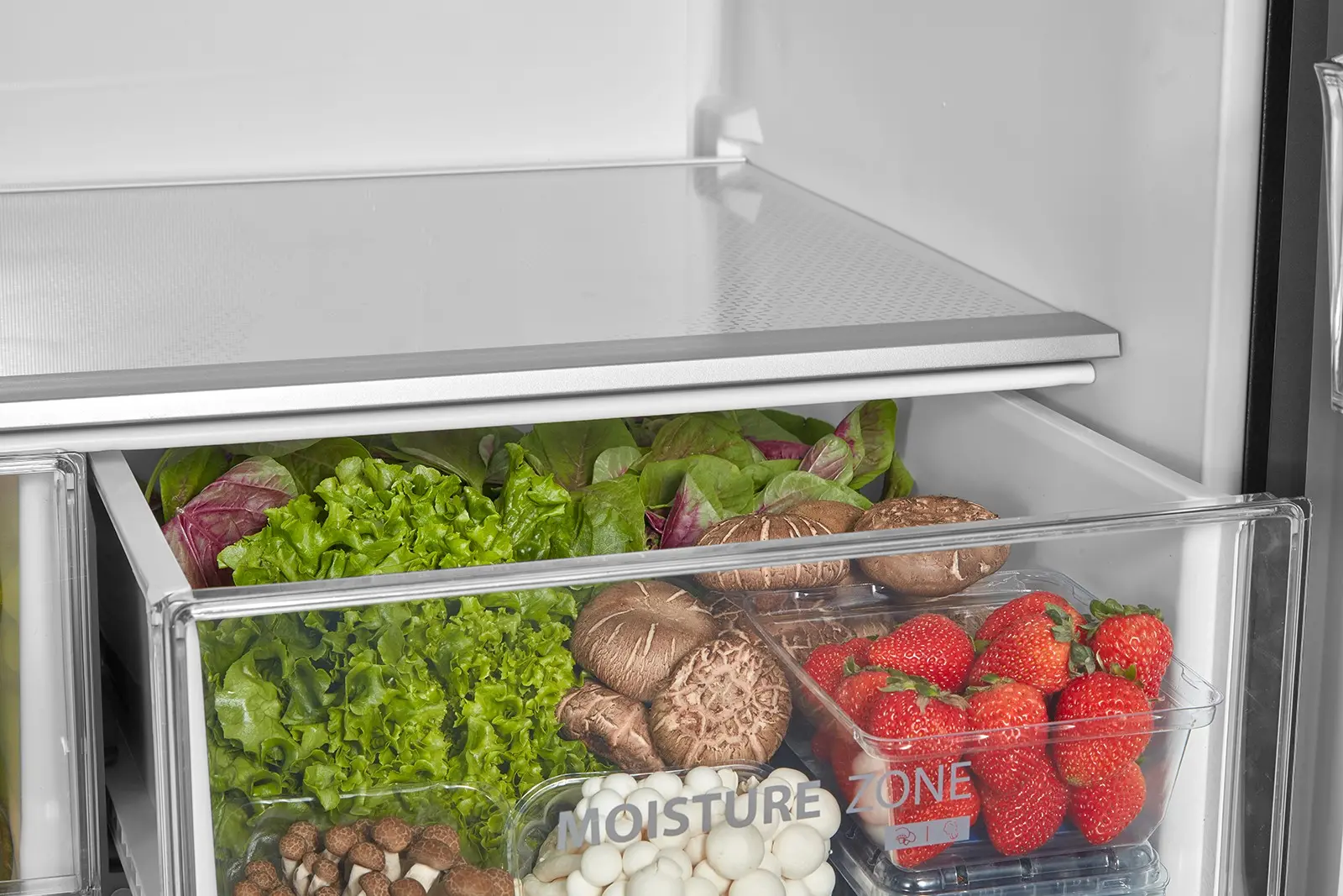 Toshiba Multi-door Refrigerator