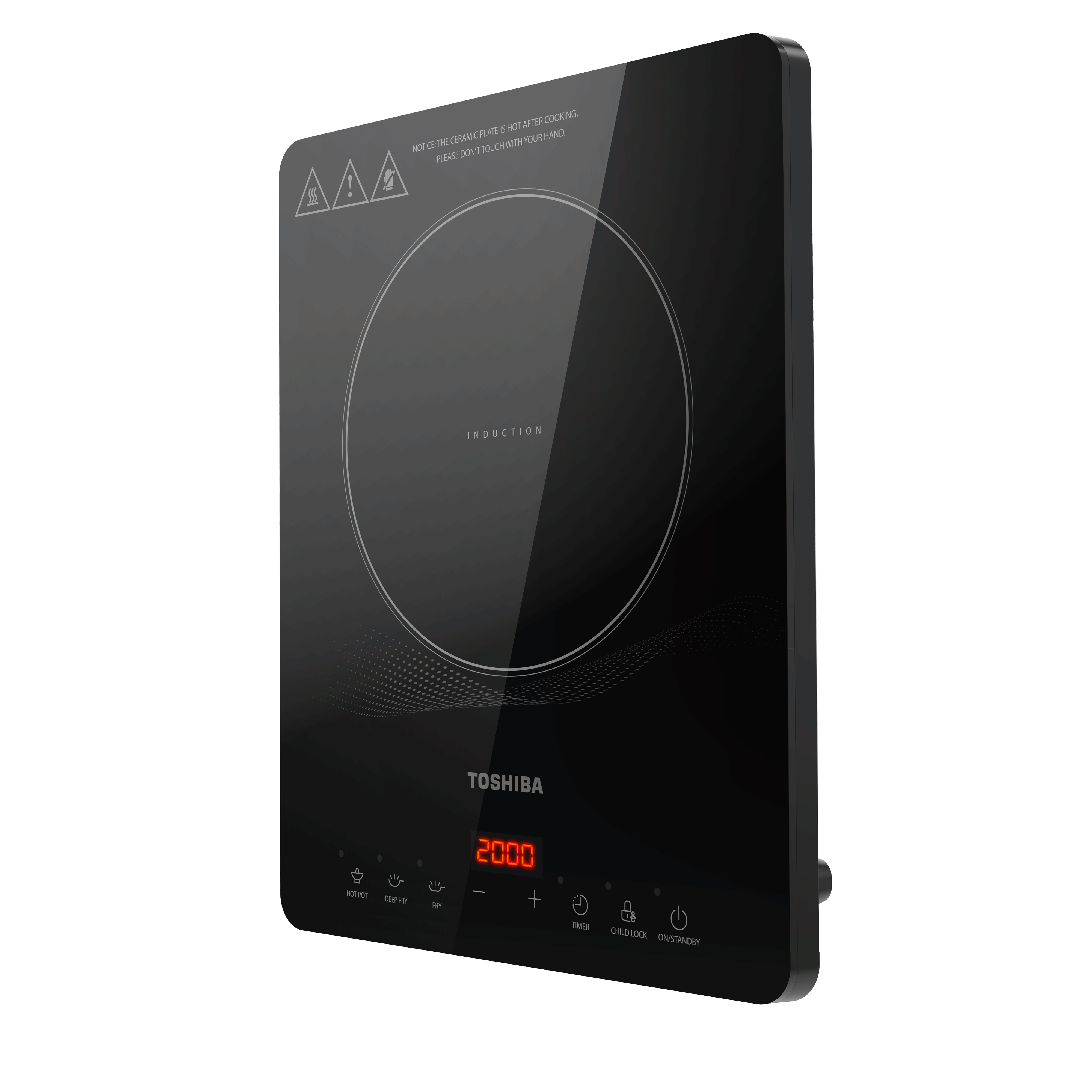 Induction Cooker